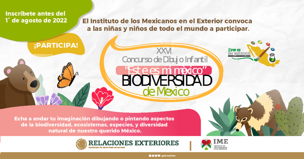 Dibujar en vacaciones