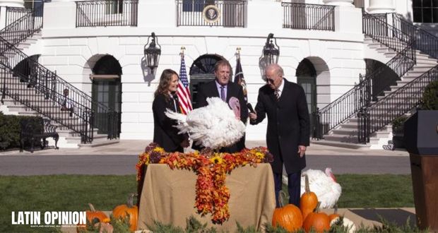 Como Marca La Tradición, Biden Indulta A Dos Pavos Por Acción De ...