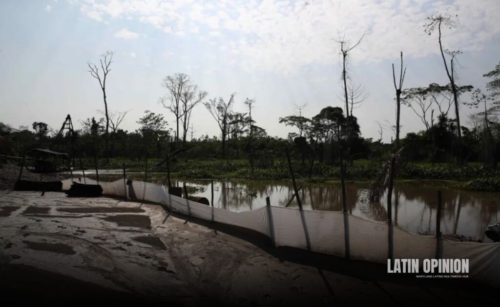 Río Amazonas al borde del colapso 2024