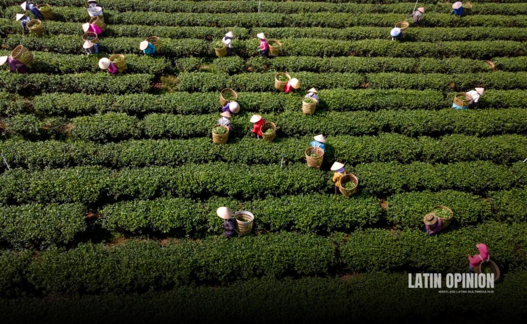 incertidumbre arancelaria