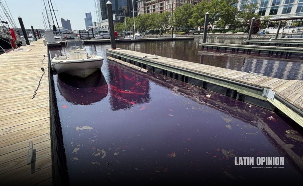combustible diésel se derramaron