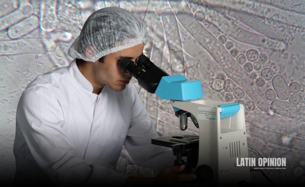 Infecciones de bacteria