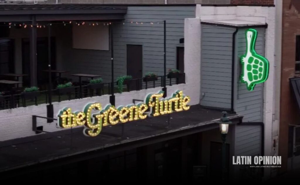 Greene Turtle