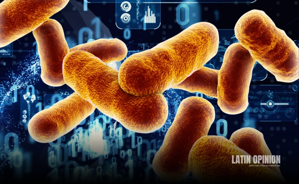 IA desarrolla antibióticos