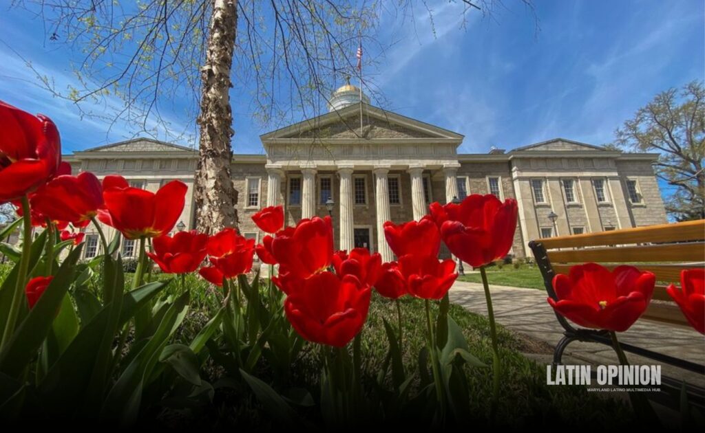 Consejo del Condado de Baltimore