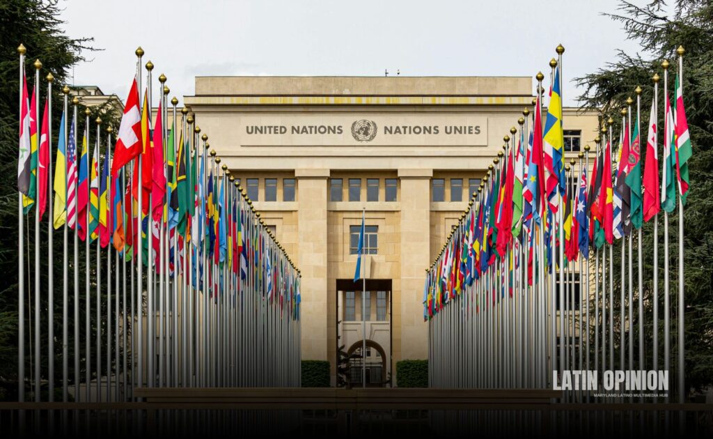 Asamblea General de la ONU