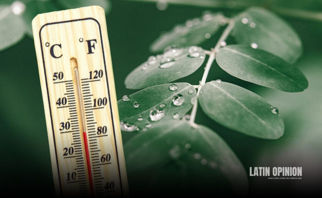 El clima húmedo regresa a Maryland