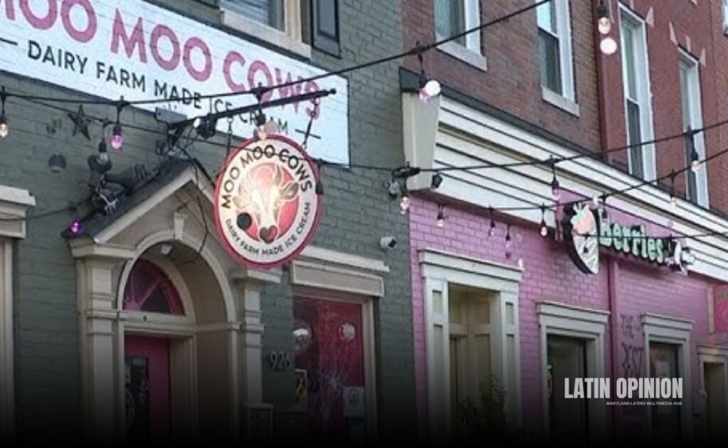 Vecinos de Federal Hill debaten soluciones para la violencia