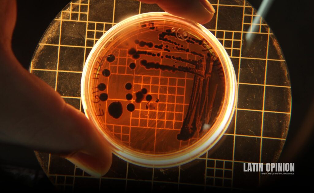 bacteria súper letal