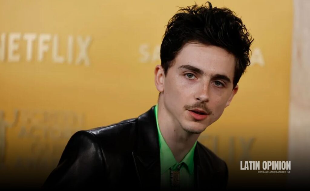 Timothée Chalamet