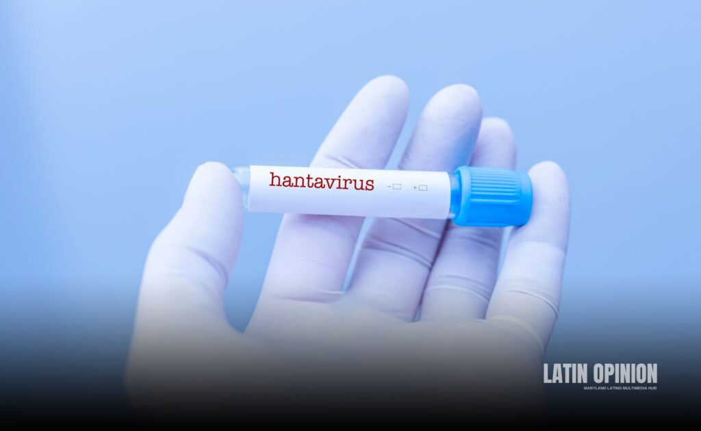 hantavirus