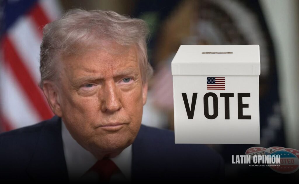 500 mil votos falsos