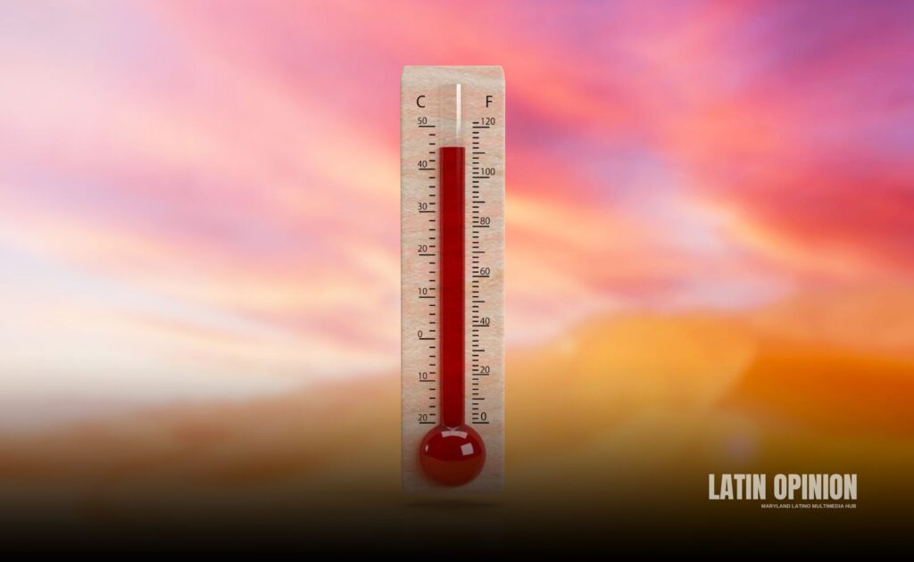 Ola de calor: Adaptar la casa, no beber alcohol y mojarse Ola de calor