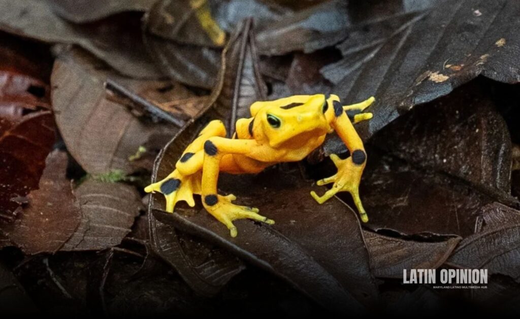 Zoológico de Maryland
