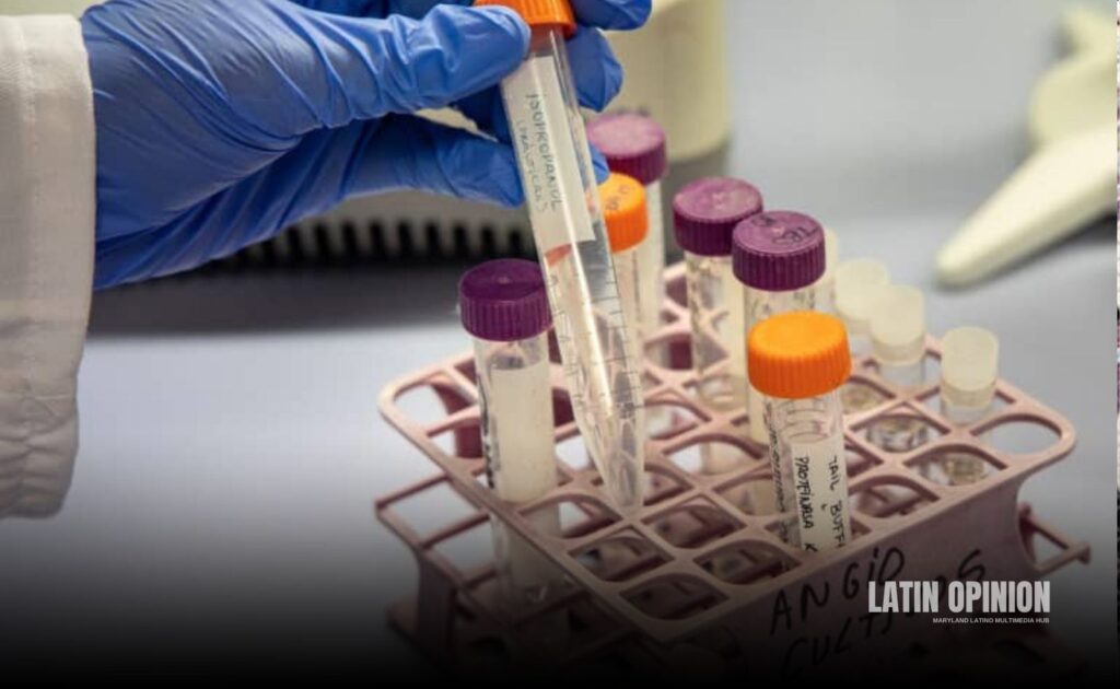 Investigadores trabajan en una terapia génica para prevenir el alzhéimer Investigadores trabajan