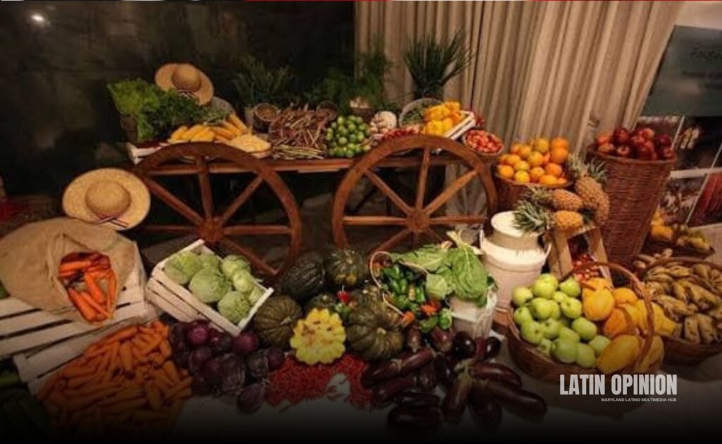 Latinoamérica liderará producción global de alimentos Latinoamérica liderará