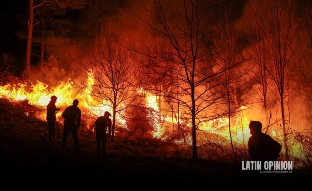 65 mil evacuados y 700 casas arrasadas por graves incendios EEUU incendios