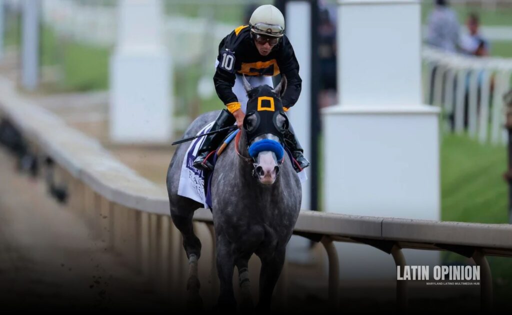 Preakness
