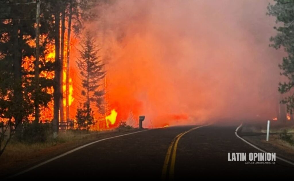 Incendios amenazan primarias en Washington Washington