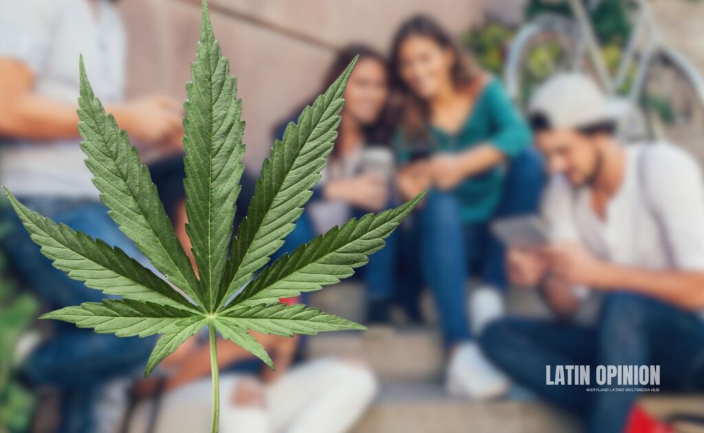 Redes sociales favorecerían aumento de consumo de cannabis Redes sociales