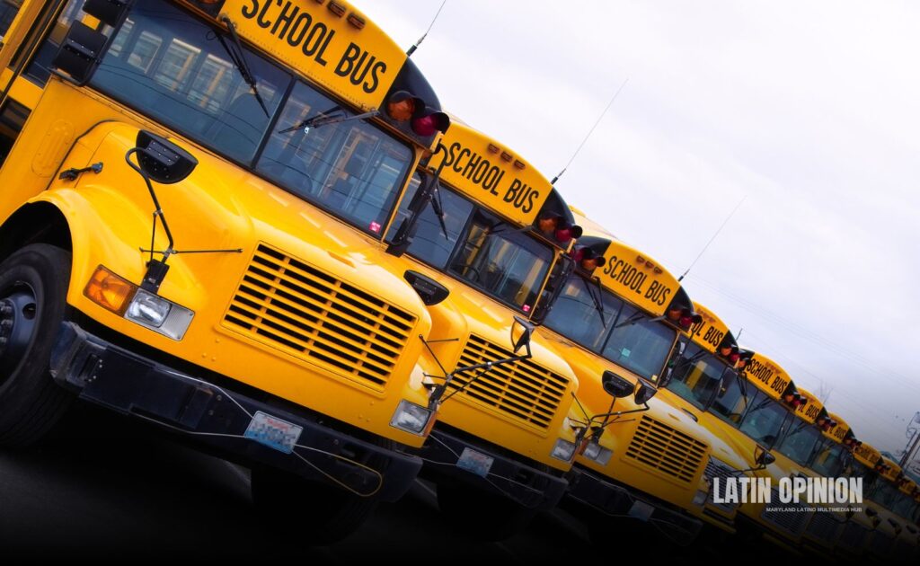 Conductores obligados a parar ante autobuses escolares autobuses escolares