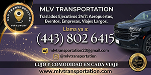 MLV Transportation