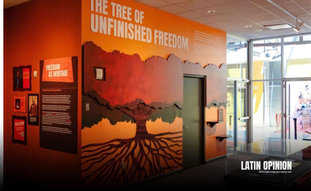 Museo Reginald F. Lewis: “Las Líneas que Cruzamos” Museo Reginald F. Lewis
