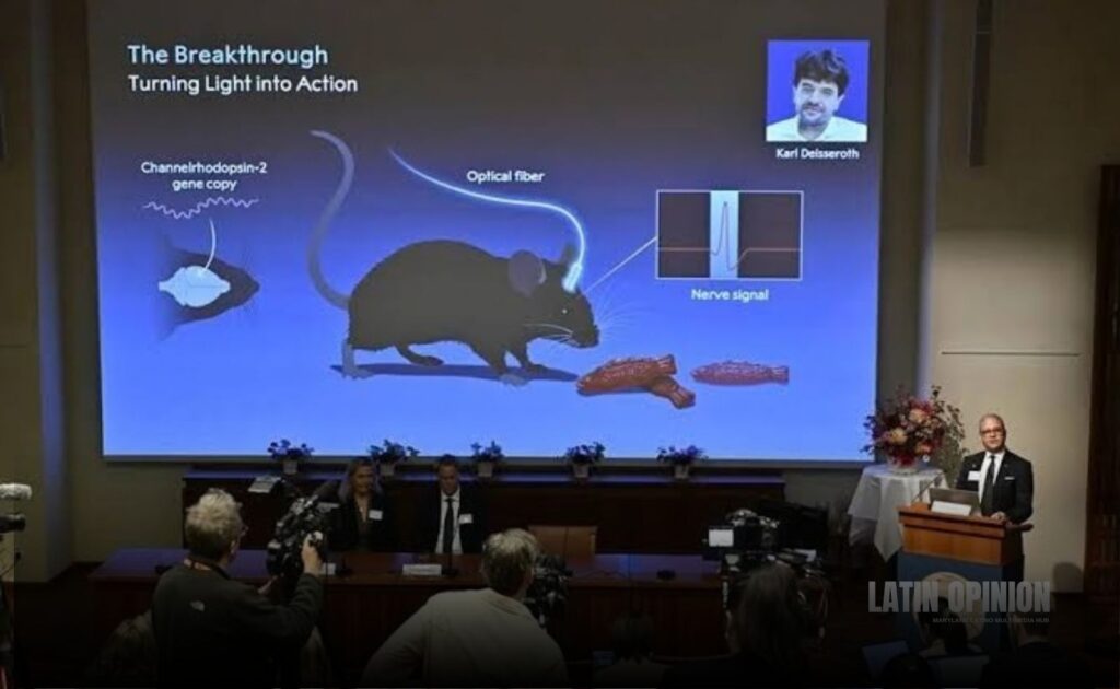Nobel Medicina para Deisseroth, Hegemann y Nagel por optogenética Nobel Medicina