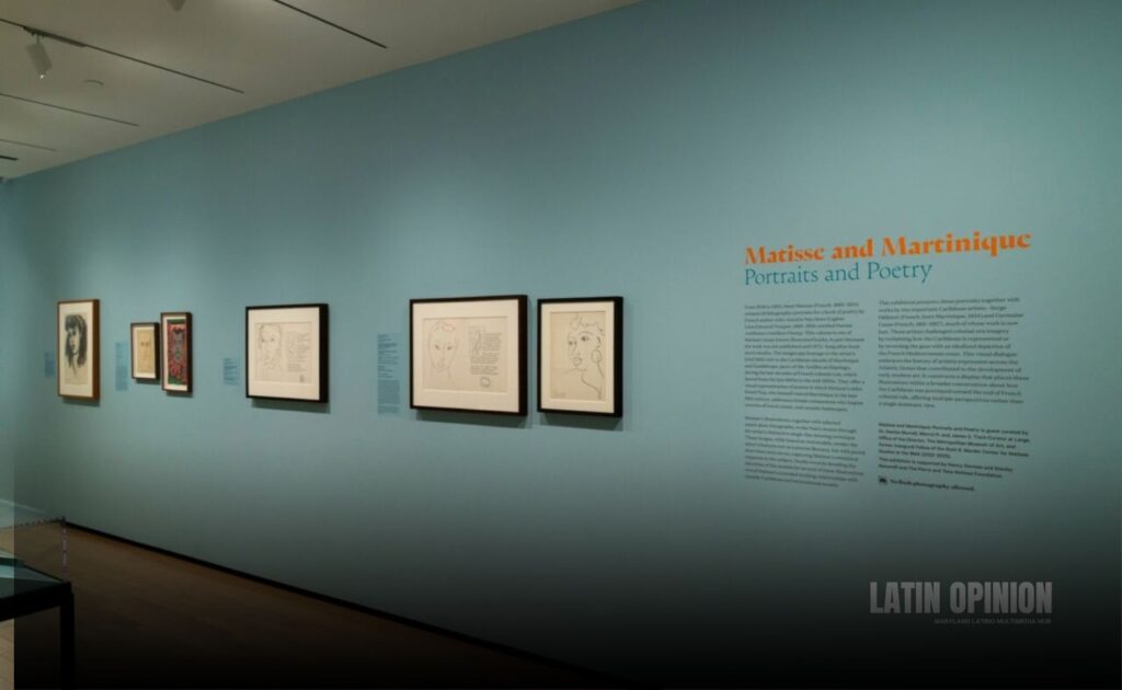 Museo de Arte de Baltimore continúa con la exposición «Matisse and Martinique» Museo de Arte de Baltimore