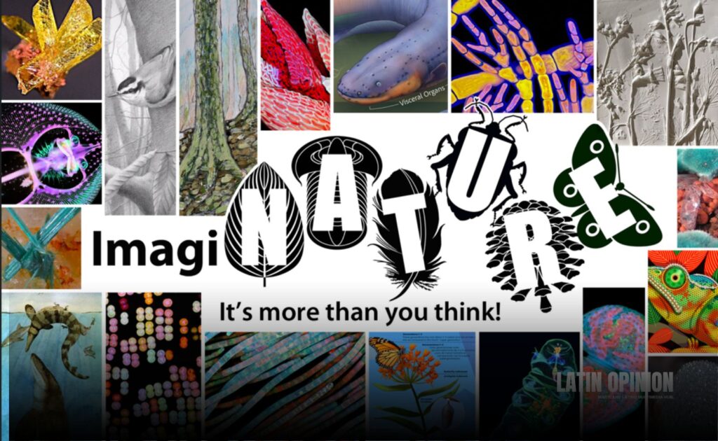 ImagiNATURE: Arte y Naturaleza